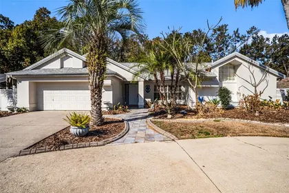 BRANDON FL Home