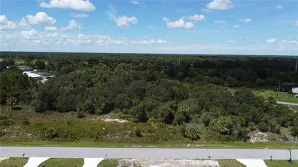 PUNTA GORDA FL Property