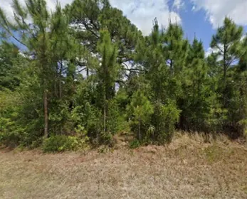 NORTH PORT FL Property