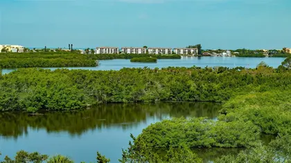 OSPREY FL Home