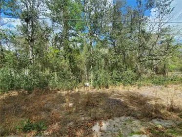 FORT MC COY FL Property
