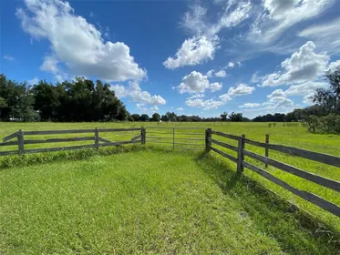 WEBSTER FL Property