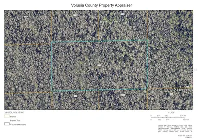 ORMOND BEACH FL Property
