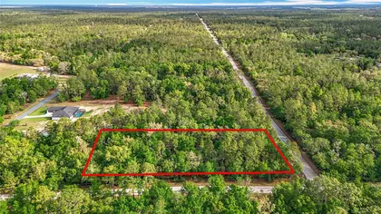 DUNNELLON FL Property