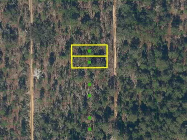 INTERLACHEN FL Property