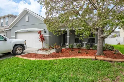LUTZ FL Home