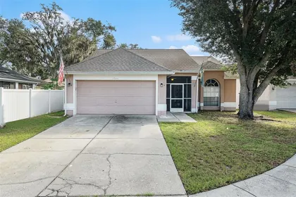 VALRICO FL Home