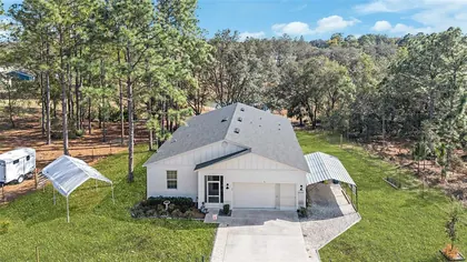 OCKLAWAHA FL Home