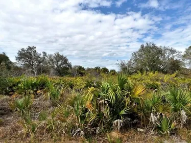 NORTH PORT FL Property