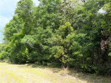 CHIEFLAND FL Property