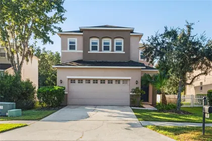 WESLEY CHAPEL FL Home
