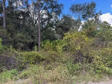DELAND FL Property