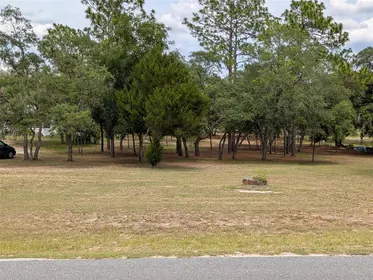 HOMOSASSA FL Property