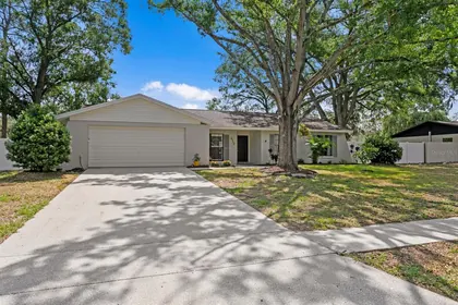 TEMPLE TERRACE FL Home