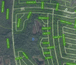 SEBRING FL Property
