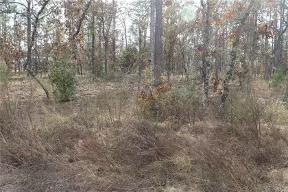 DUNNELLON FL Property