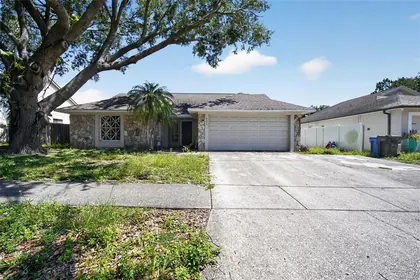 BRANDON FL Home