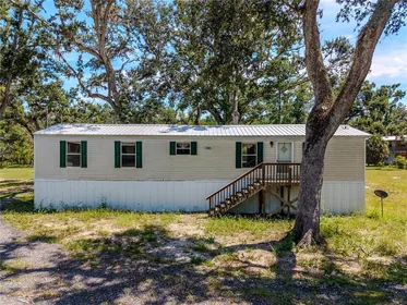 STEINHATCHEE FL Home