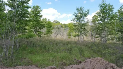 LAKE CITY FL Property