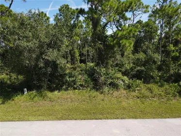 PUNTA GORDA FL Property