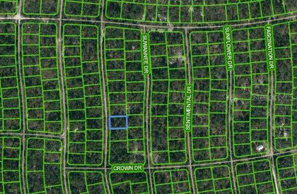 LAKE PLACID FL Property
