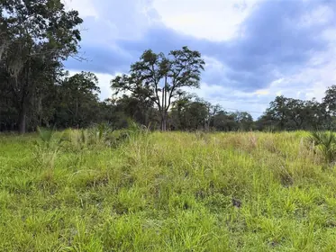 DAVENPORT FL Property