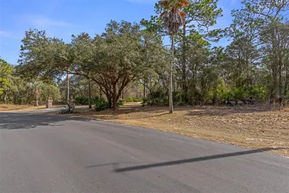BEVERLY HILLS FL Property