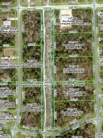 BROOKSVILLE FL Property