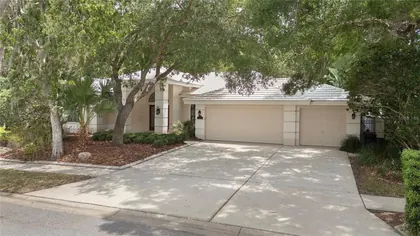OLDSMAR FL Home