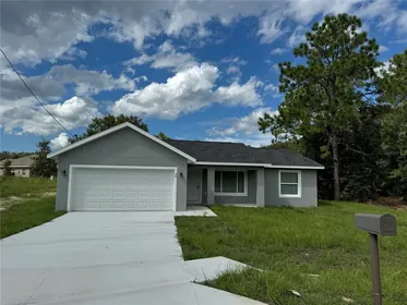 OCKLAWAHA FL Home