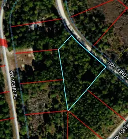CEDAR KEY FL Property