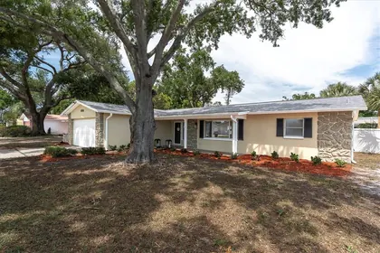ST PETERSBURG FL Home