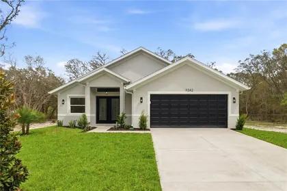 WEBSTER FL Home