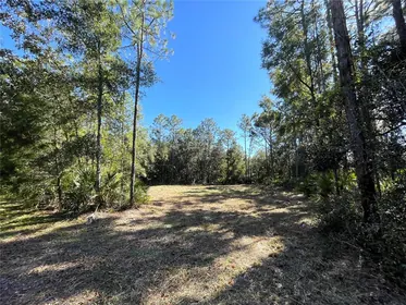 CRYSTAL RIVER FL Property