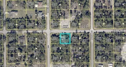 LEHIGH ACRES FL Property
