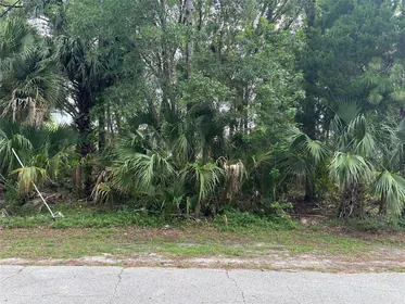 PALM COAST FL Property