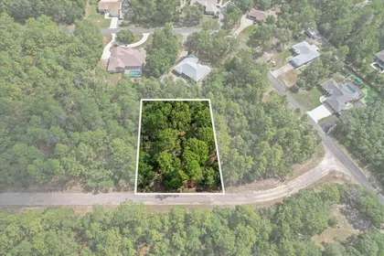CITRUS SPRINGS FL Property