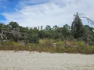 LAKE PLACID FL Property