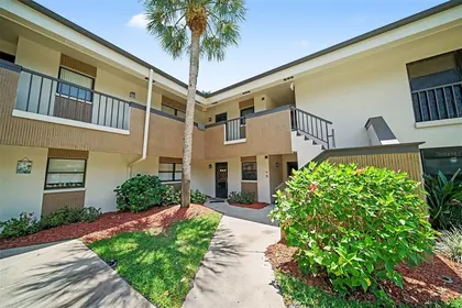 PALM HARBOR FL Home