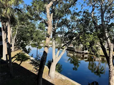 TAMPA FL Home