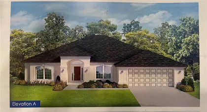 SUMMERFIELD FL Home