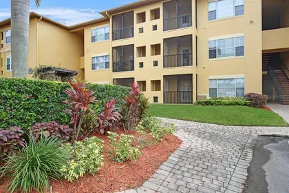TAMPA FL Home