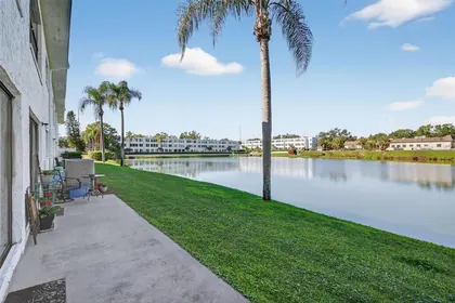 CLEARWATER FL Home