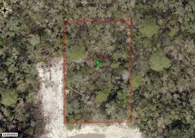 ORANGE CITY FL Property