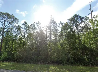 PALATKA FL Property
