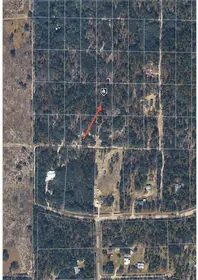 MORRISTON FL Property