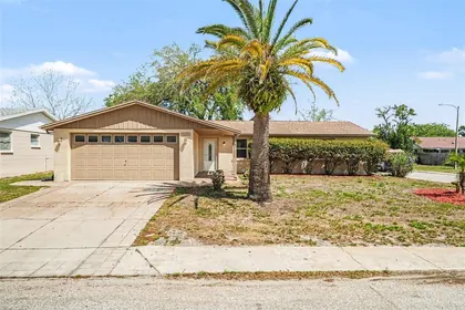 PORT RICHEY FL Home
