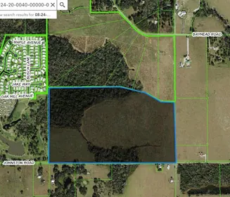 DADE CITY FL Property