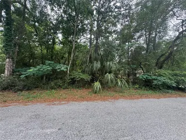 INVERNESS FL Property