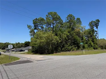 CITRUS SPRINGS FL Property